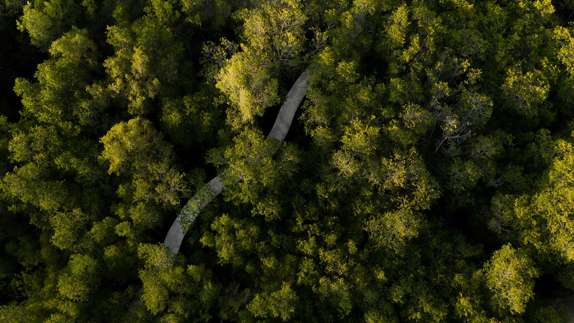 COFforEARTH