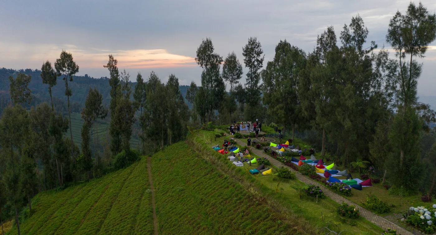 DJI_0398-1