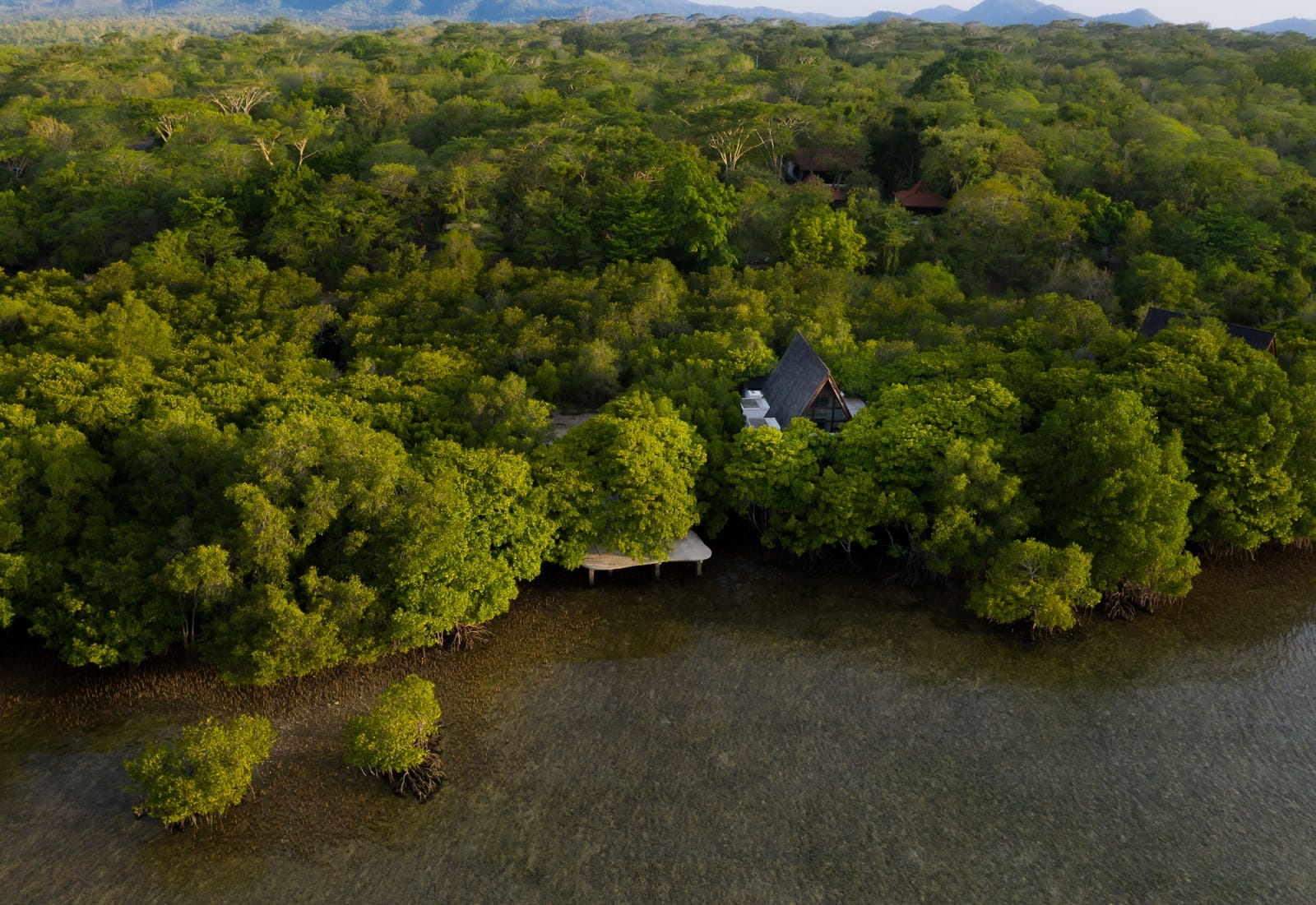 DJI_0676
