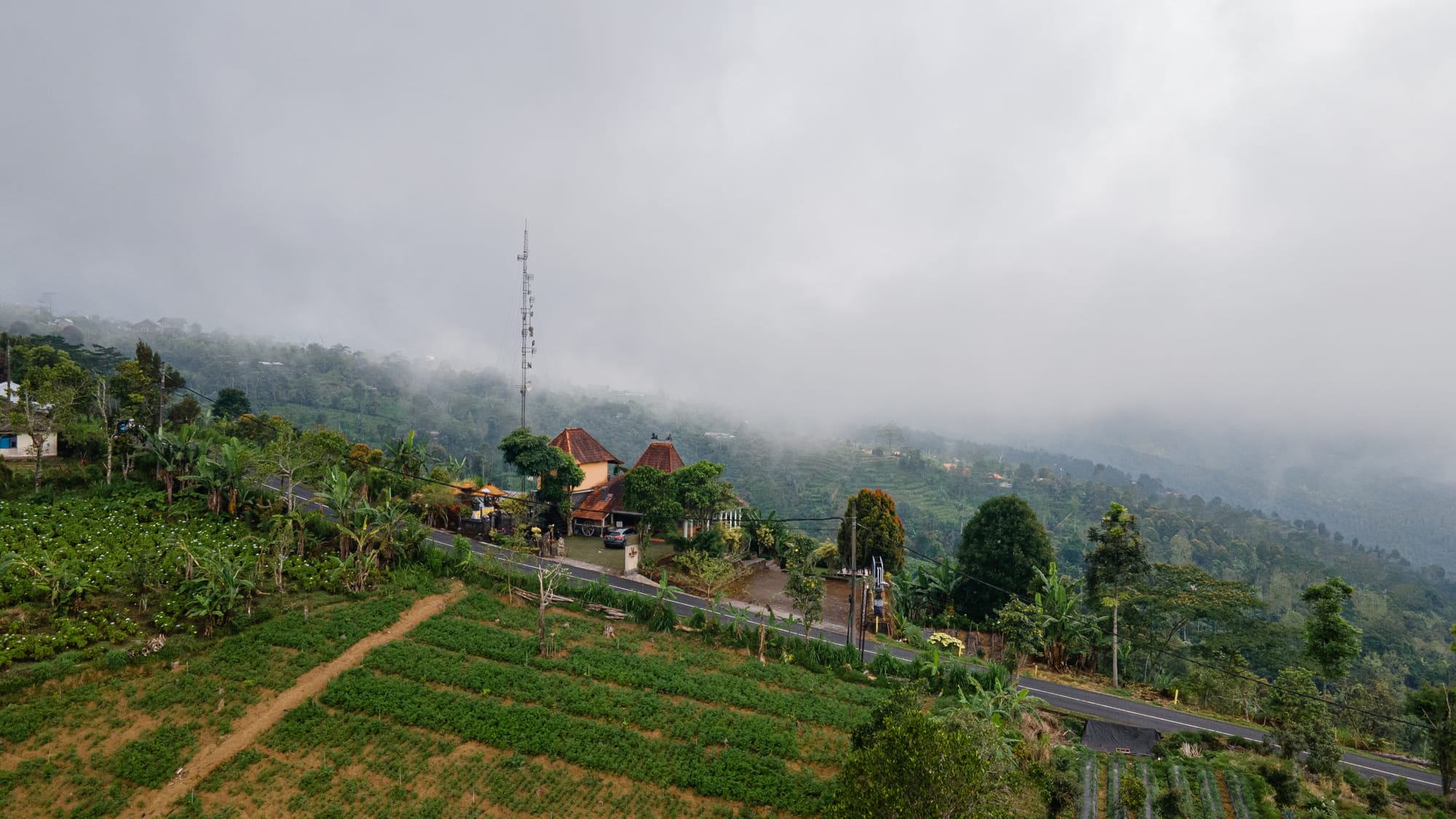 DJI_0330