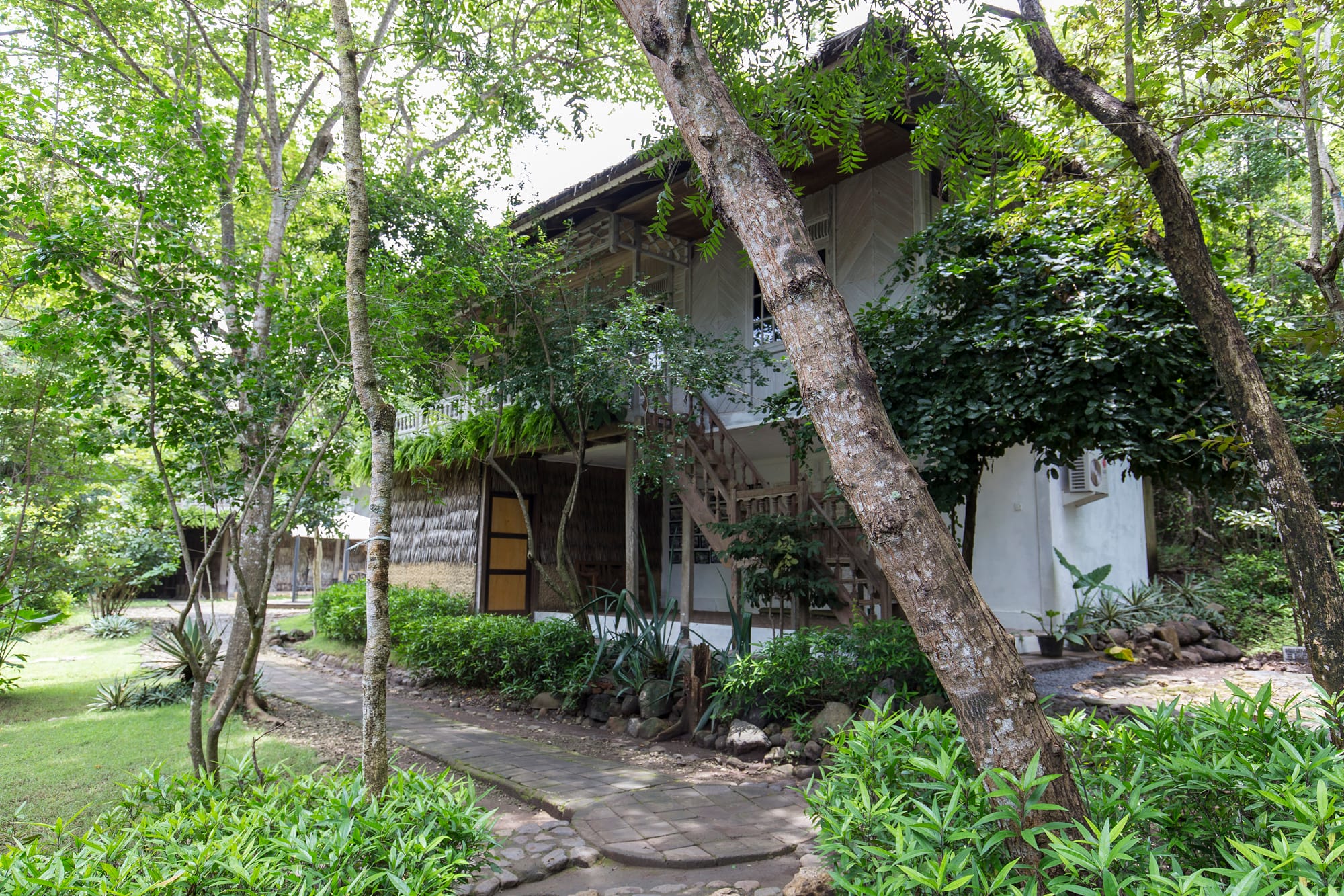 Eco Lodge_Premium Lodge