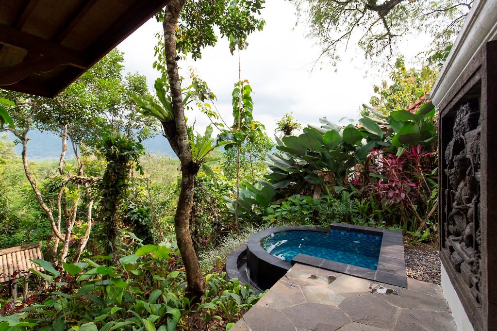 Garden Plunge Pool Villa_Pool (1)