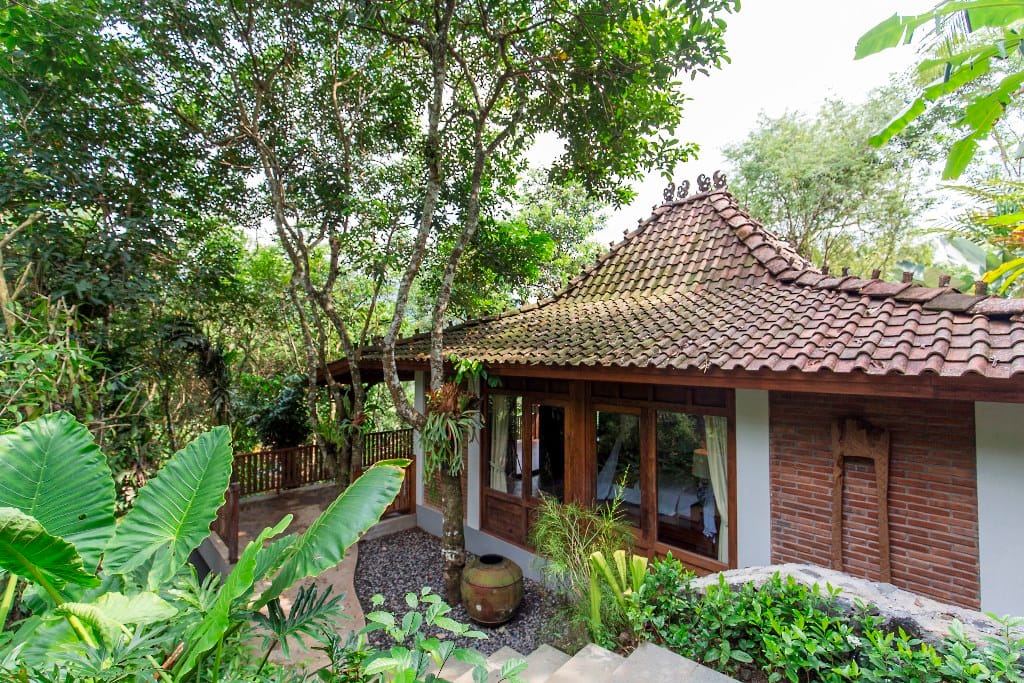 Garden Plunge Pool Villa_surrounding (2)