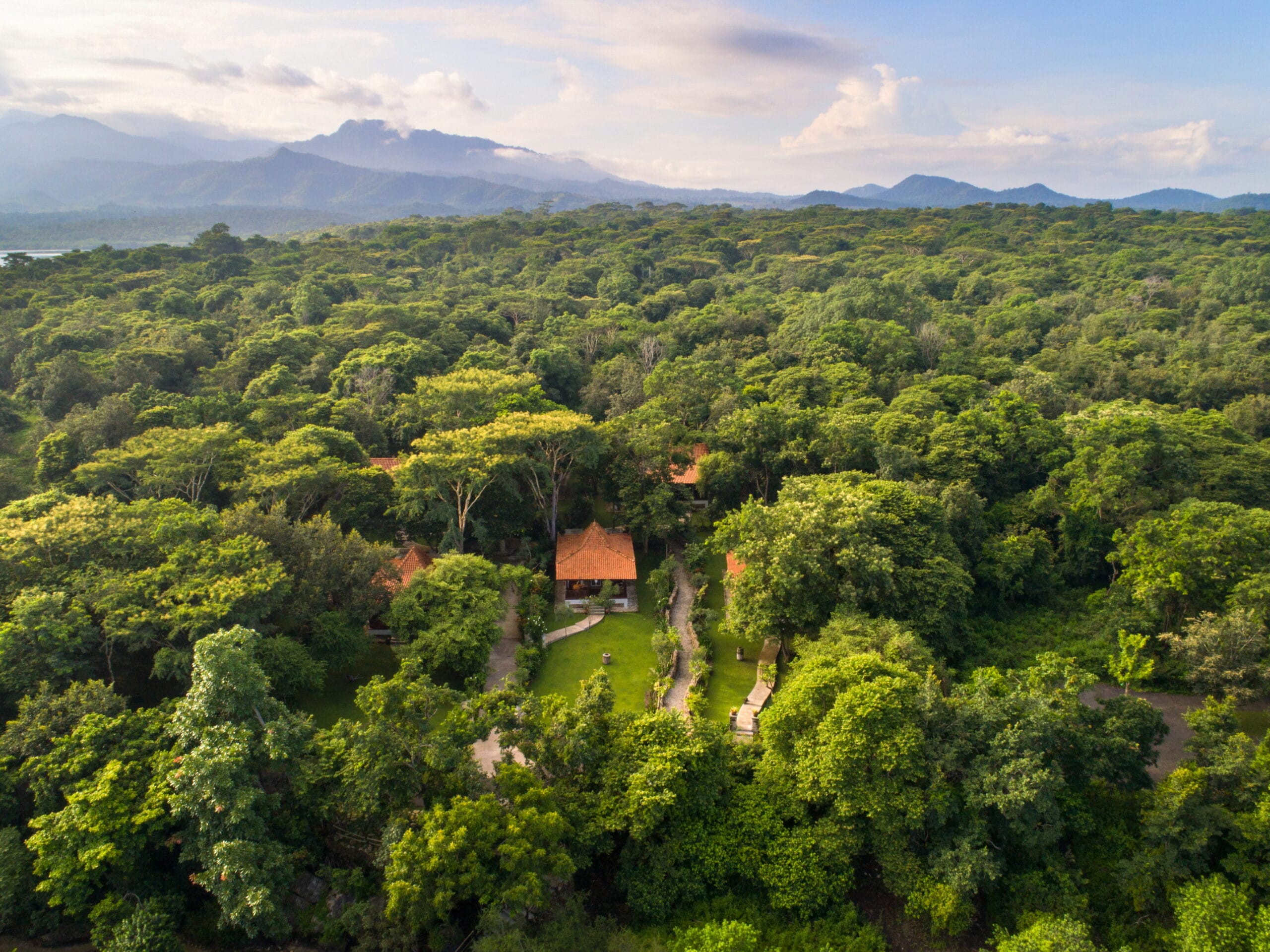 PLM_Forest Villa_Drone