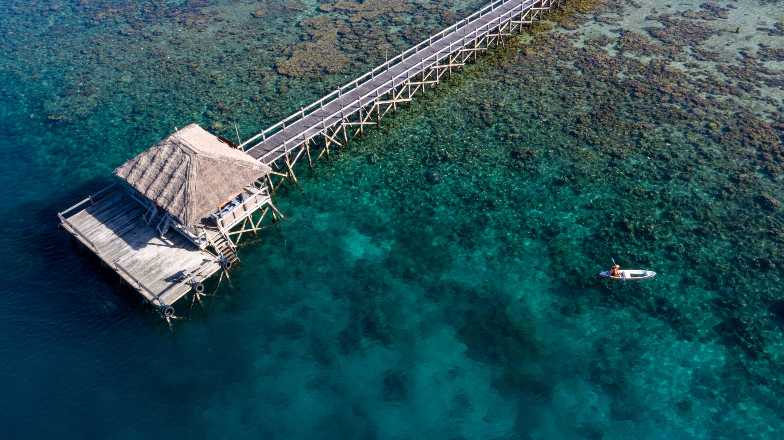 DJI_0667