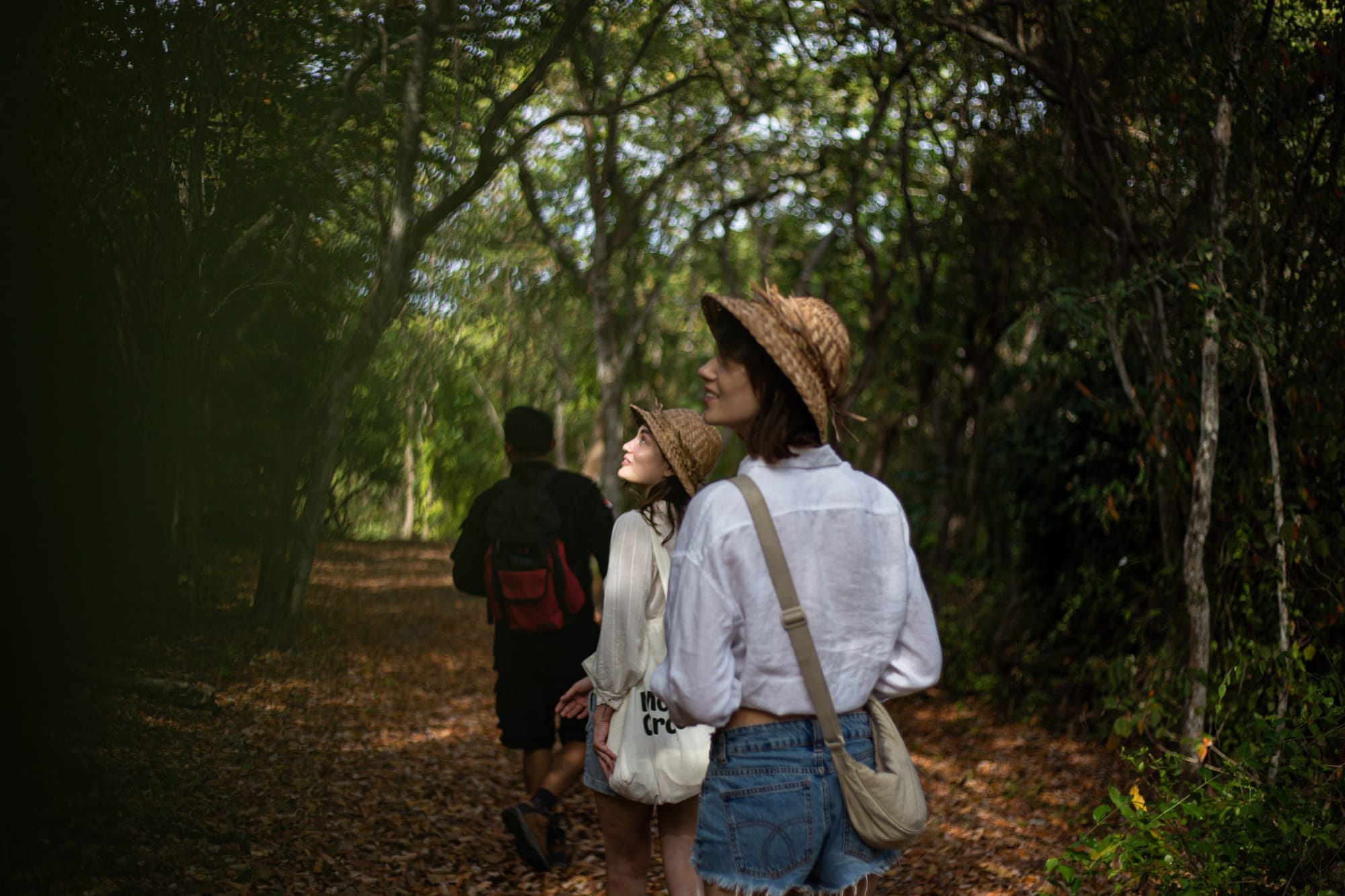 TRAILS OF LIFE